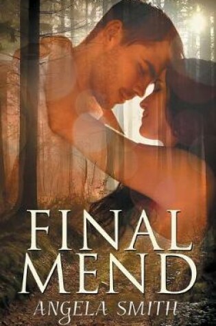 Cover of Final Mend