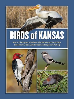 Book cover for Birds of Kansas