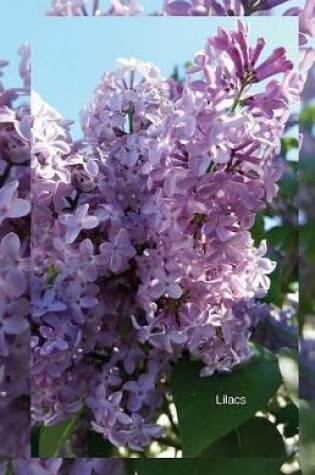 Cover of Lilacs