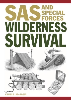 Book cover for Wilderness Survival