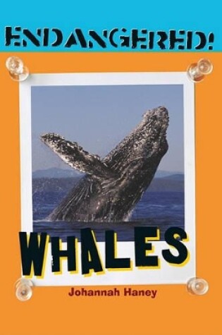 Cover of Whales