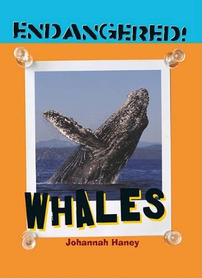 Cover of Whales