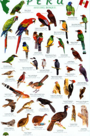 Cover of Peru Forest Bird Guide