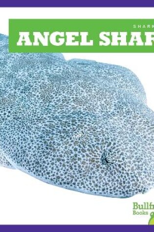 Cover of Angel Shark