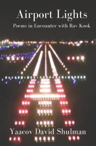 Cover of Airport Lights