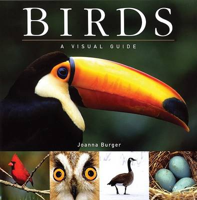 Book cover for Birds