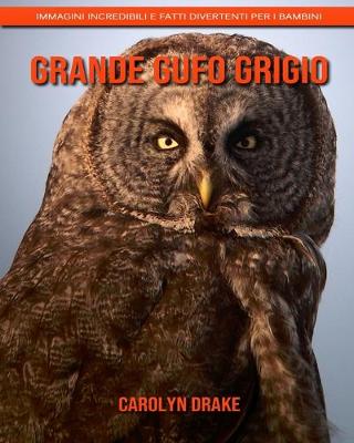 Book cover for Grande gufo grigio