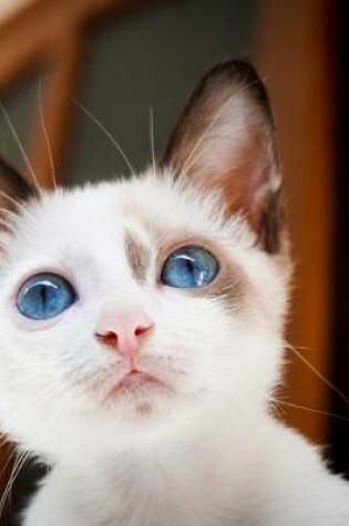 Cover of Pink Nosed Blue Eyed Kitten