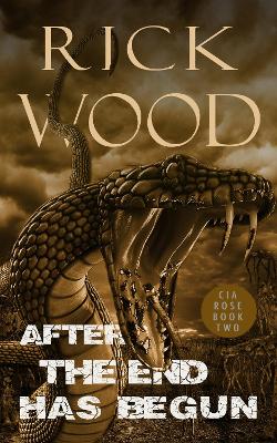 Cover of After the End Has Begun