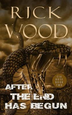 Book cover for After the End Has Begun