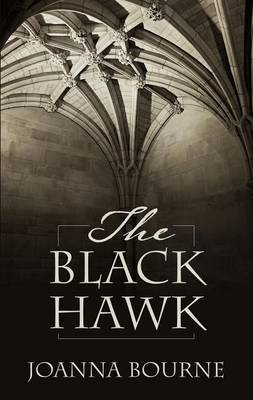 Book cover for The Black Hawk