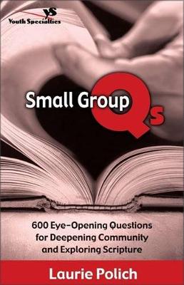Book cover for Small Group QS