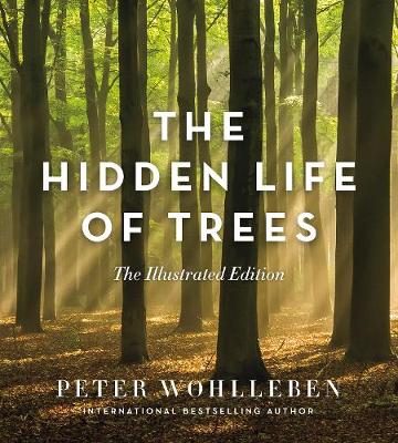 Cover of The Hidden Life of Trees