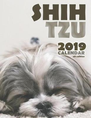 Book cover for Shih Tzu 2019 Calendar (UK Edition)