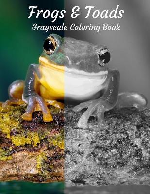 Book cover for Frogs & Toads Grayscale Coloring Book