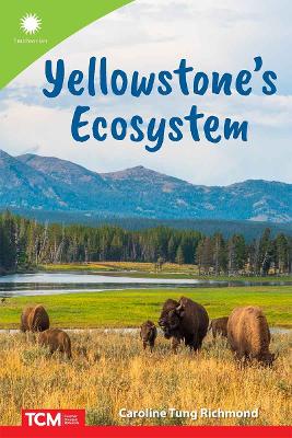 Book cover for Yellowstone’s Ecosystem