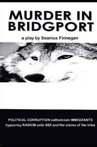Cover of Murder in Bridgport