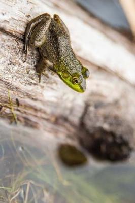 Book cover for Common Frog on a Log Journal