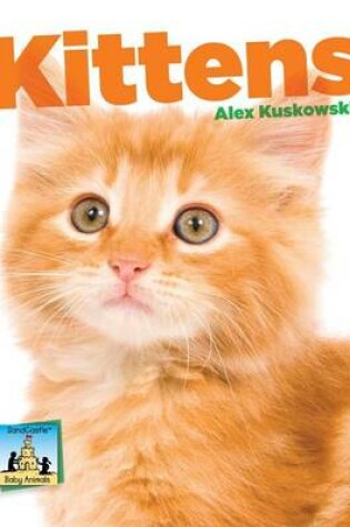 Cover of Kittens