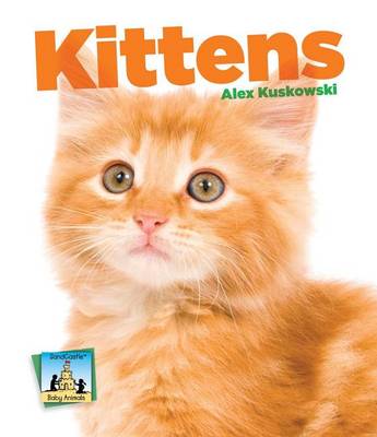 Cover of Kittens