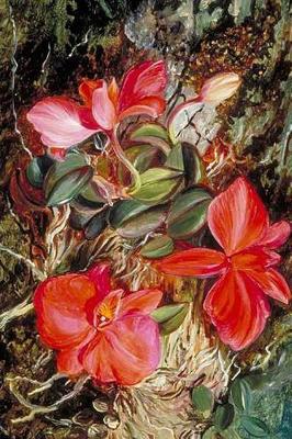 Book cover for Marianne North Orchids in Art Brazilian Orchid