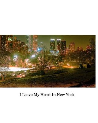 Book cover for I Love New York