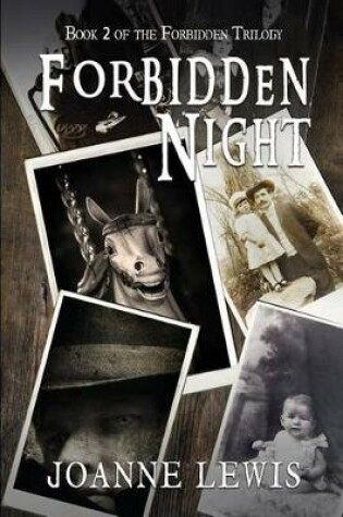 Cover of Forbidden Night