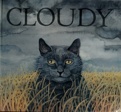 Book cover for Cloudy