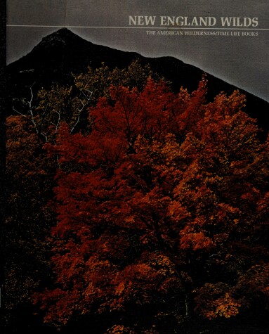 Cover of The New England Wilds