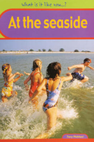 Cover of Seaside Big Book