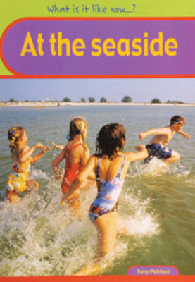 Cover of Seaside Big Book