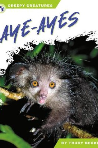 Cover of Aye-Ayes