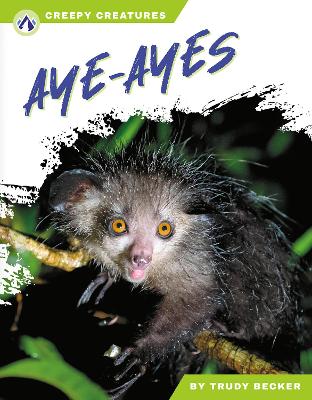 Cover of Aye-Ayes