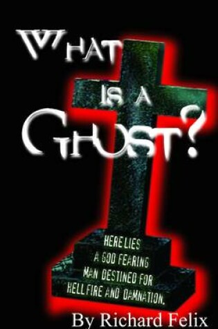 Cover of What is a Ghost?