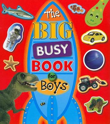 Book cover for Big Busy Book For Boys
