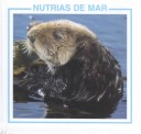 Cover of Nutrias de Mar