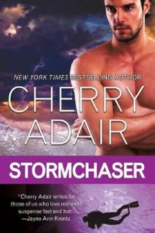 Cover of Stormchaser