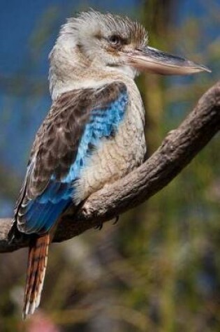Cover of Blue-Winged Kookaburra Kingfisher Bird Journal