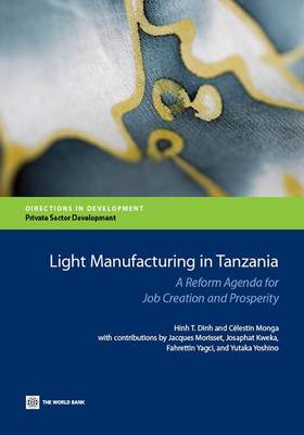 Book cover for Light manufacturing in Tanzania