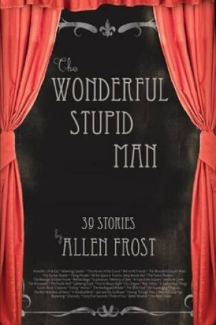 Cover of The Wonderful Stupid Man