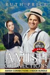 Book cover for Amish Connections