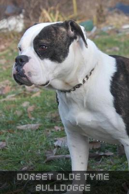 Book cover for Dorset Olde Tyme Bulldogge