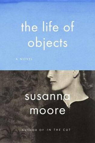 Cover of The Life of Objects