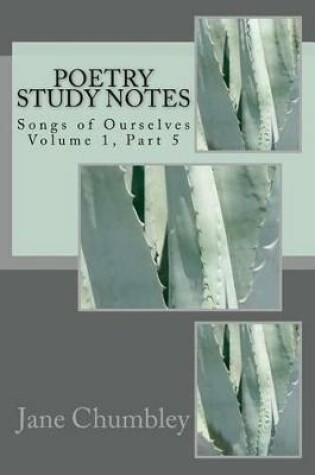 Cover of Poetry Study Notes