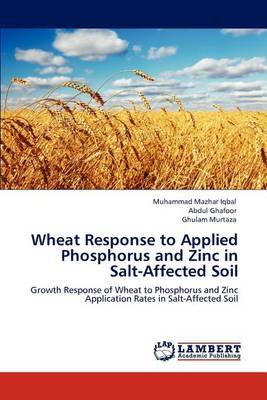 Book cover for Wheat Response to Applied Phosphorus and Zinc in Salt-Affected Soil