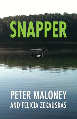 Book cover for Snapper