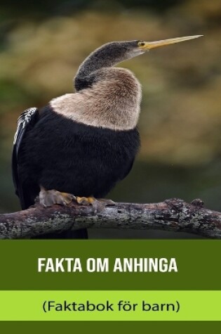 Cover of Fakta om Anhinga (Faktabok för barn)