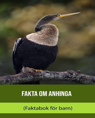 Book cover for Fakta om Anhinga (Faktabok för barn)