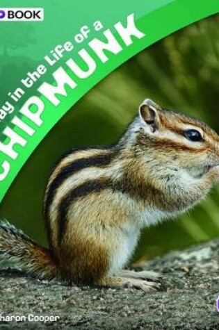 Cover of A Day in the Life of a Chipmunk: A 4D Book