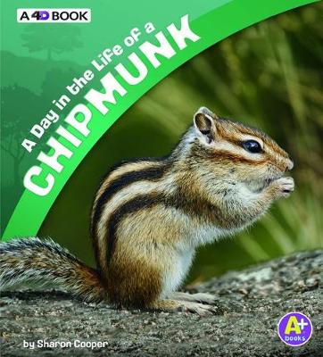 Book cover for A Day in the Life of a Chipmunk: A 4D Book